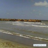 ebertoantonio foto #18