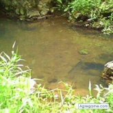 becsy chica soltera en Quito