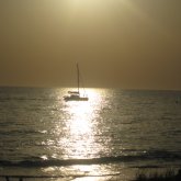 aljndrv chico soltero en Colmenar viejo