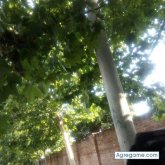 Ver fotos más de wwwdiegooo10