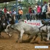 elcoleador chico soltero en Maturín