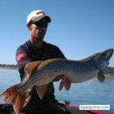 Encuentra Hombres Solteros en Alhama de Aragon (Zaragoza)