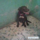 patriciacortes chica soltera en Cuernavaca