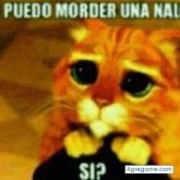 Martín Rojo