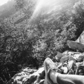 abrahamvillagomez chico soltero en Santa Catarina