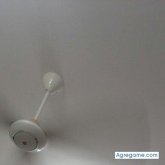 jaazz chico soltero en 