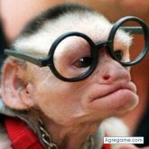 ZipiZipi chico soltero en Santiago De Compostela