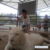 gustyyy chico soltero en General La Madrid