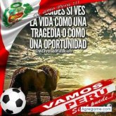Foto de perfil de josemarca