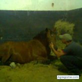 alex26pran chico soltero en El Nula