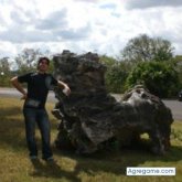 wizard foto #28