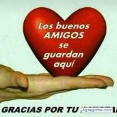 luis