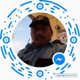 Roman de leon garcia