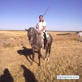 Chatear con faenas de Segovia Ciudad