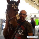 mlguelexposito chico soltero en Los Llanos de Aridane