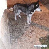 abdellatifben chico soltero en Cartagena