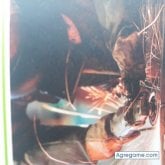Foto de perfil de Solterosado