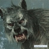 Foto de perfil de robertomg