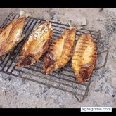 3873448550 chico soltero en Tartagal