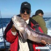 hectoreduardo6266 chico soltero en Bernal