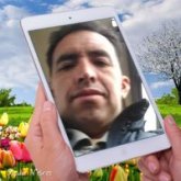 Alejandro Silva Ashtu