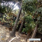 Chatear con Qertu de Salama