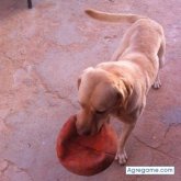 KiKe28 chico soltero en Fuensanta De Martos