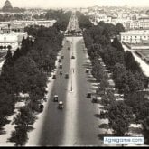 Busco pareja. Una mujer bella por dentro