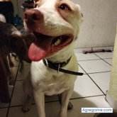 DavidZero chico soltero en Querétaro