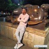 Y-hico LA Makina