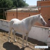 Josecbr foto #6