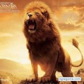 Chatear con elvisperdomo de Houston