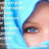 Tony arrate