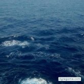 Esteban37MQ chico separado en Bragado