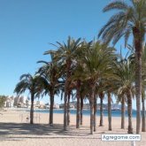 Xico1975 chico soltero en Alicante