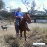 juan alexander moreno