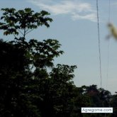 Busco conocer gente. Amistades