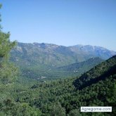 Tiglath chico soltero en Arcos De La Frontera