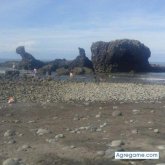 Chatear con Eddie80 de San Vicente De Moravia