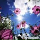 disfruta chico soltero en Bilbao