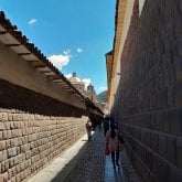 Busco pareja. Amistades y si todo fluye