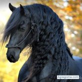 Chatear con yako02 de Candelaria