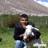 Independiente  flete. Estoy bucando uan