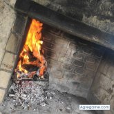 Busco pareja. El marisco me encanta.