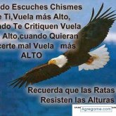 Hernan Coronel