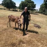 Ganadero. Busco pareja. Relación sería