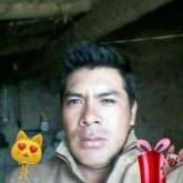 Trabajo en el campo.