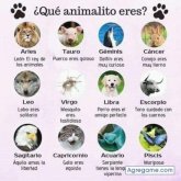 Chatear con Franela de Pehuajó