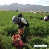 arielramirez2766 foto #6