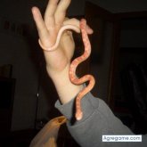 jesusgarcia chico soltero en Parla